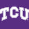 Texas Christian University TCU Horned Frogs Apple Pencil (2nd Gen 2019) Skin